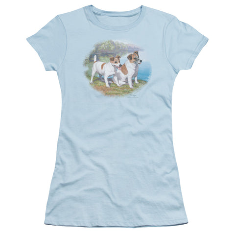 Juniors Sheer Cap Sleeve