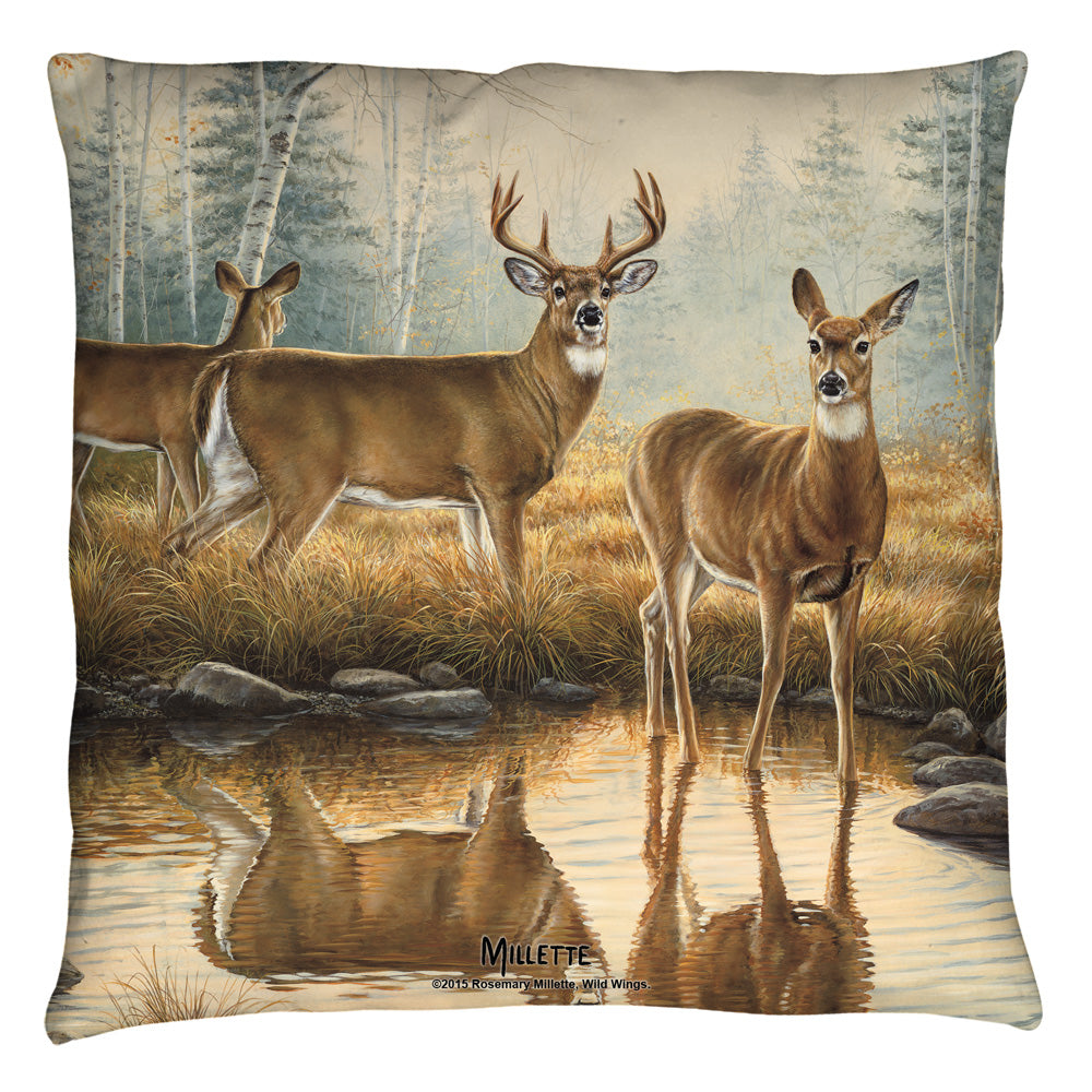 Throw Pillow
