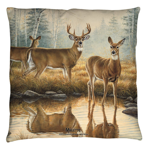 Throw Pillow